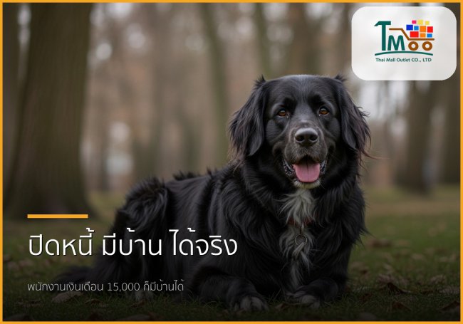 🏡 ปิดหนี้แค่แสนห้า ก็มีบ้านได้! เปิดขั้นตอนสู่ฝันสำหรับพนักงานชลบุรี
