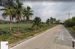 ขายที่ดิน พื้นที่ 30 ไร่เศษ แถวๆเนินตอง - วัดเนินตอง ศรีราชา ชลบุรี ขายที่ดิน พื้นที่ 30 ไร่เศษ แถวๆเนินตอง - วัดเนินตอง ศรีราชา ชลบุรี