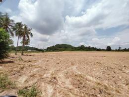 ที่ดินสำหรับสร้างหมู่บ้านจัดสรร เนินตอง ศรีราชา ที่ดิน31ไร่ เศษ ไร่ละ 3 ล้าน ติดวิวเขาธรรมชาติ ที่ดินสำหรับสร้างหมู่บ้านจัดสรร เนินตอง ศรีราชา ที่ดิน31ไร่ เศษ ไร่ละ 3 ล้าน ติดวิวเขาธรรมชาติ