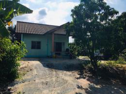 ขายบ้านเดี่ยวชั้นเดียว - โซนพานทอง ขายบ้านเดี่ยวชั้นเดียว - โซนพานทอง